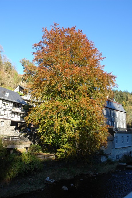 monschau