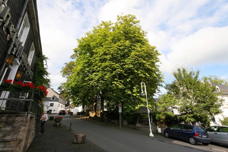 nuembrecht