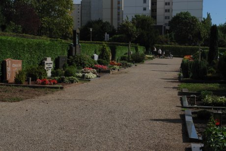 friedhof