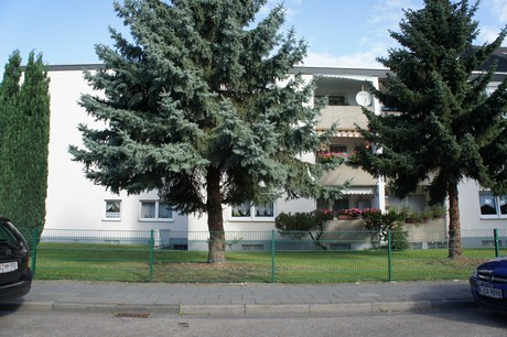 eil