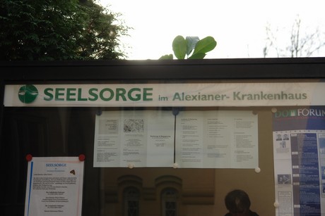 alexianer-krankenhaus