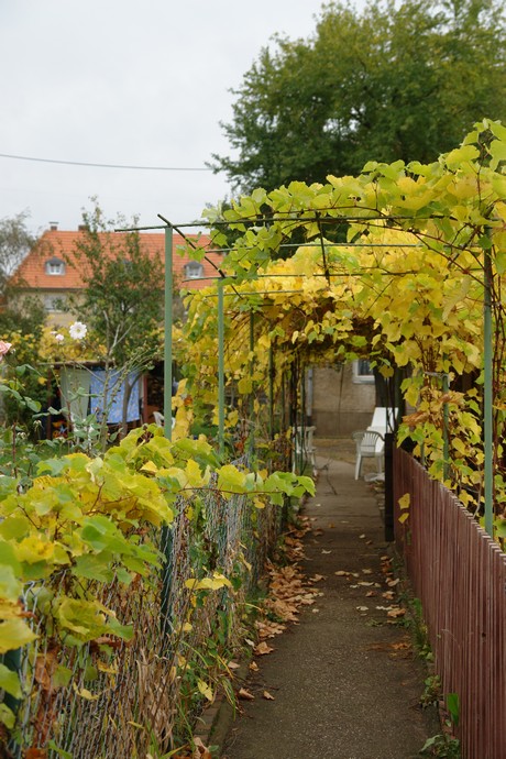 gremberhoven-bahnsiedlung