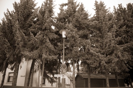 lind