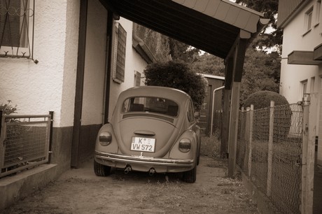 lind