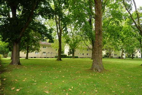 urbach