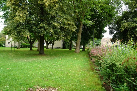 urbach