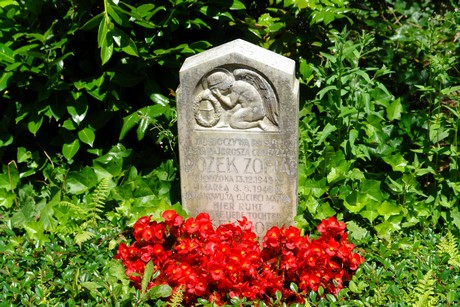 friedhof
