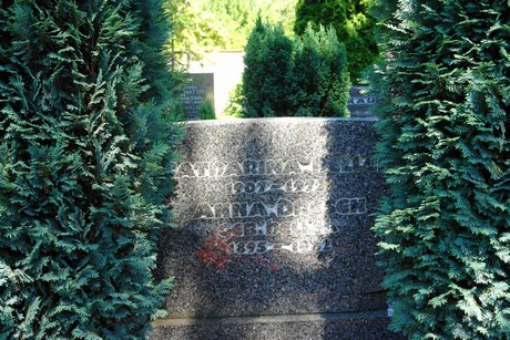 friedhof