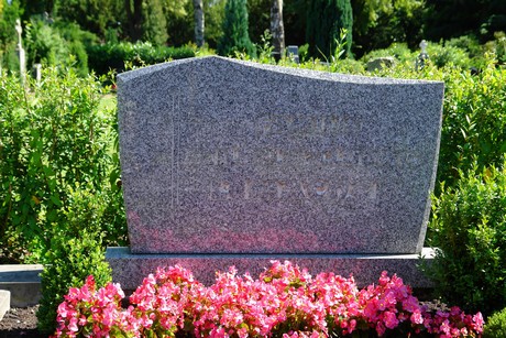 friedhof