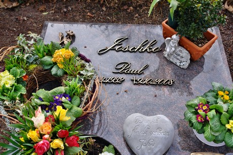 friedhof