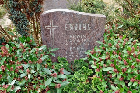 friedhof