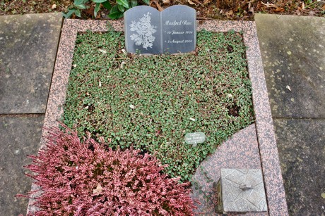 friedhof