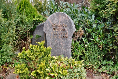friedhof