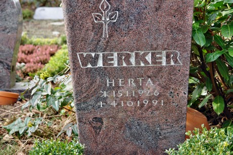 friedhof