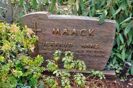 friedhof
