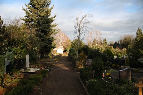 friedhof