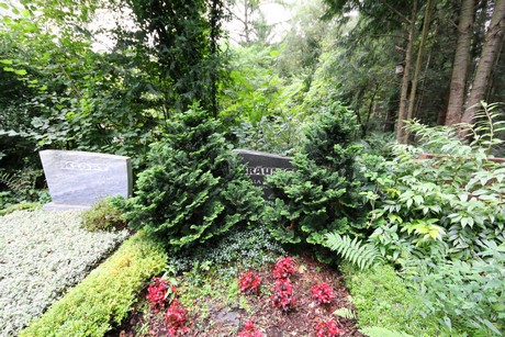zentralfriedhof