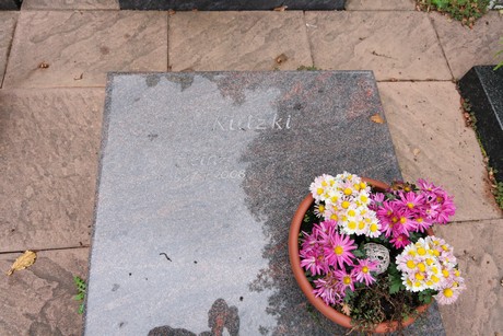 zentralfriedhof