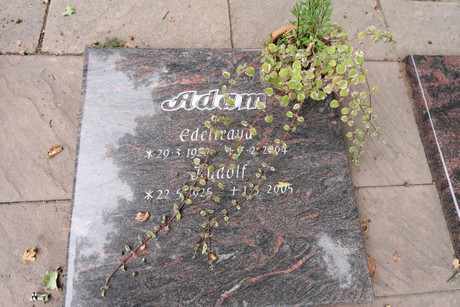 zentralfriedhof