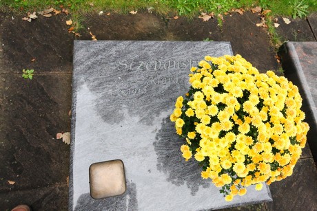 zentralfriedhof