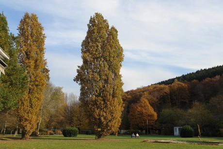 bad-bodendorf-kurpark