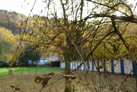 bad-bodendorf-kurpark