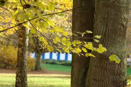 bad-bodendorf-kurpark